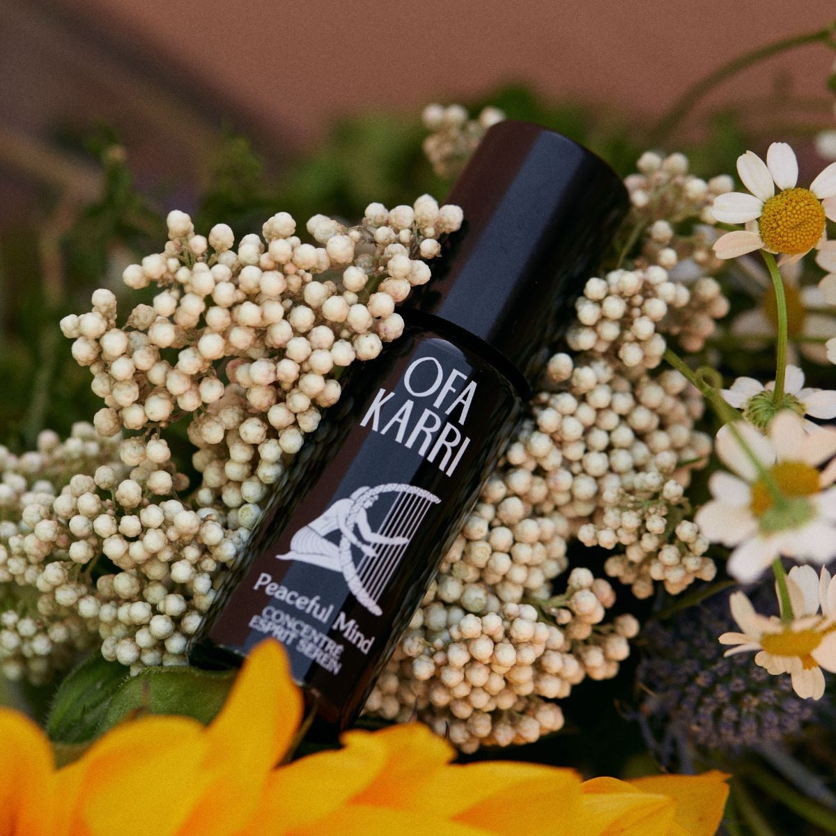 OFA KARRI Organický aroma olej roll-on Peaceful Mind